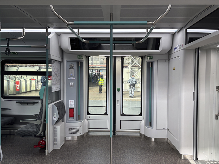 Чёрная «Иволга» (фото Олег Д., осень, 2025)