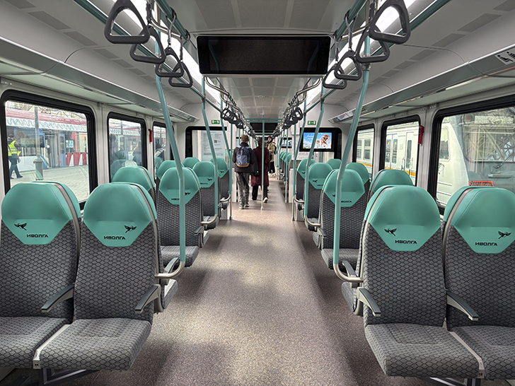 Чёрная «Иволга» (фото Олег Д., осень, 2025)