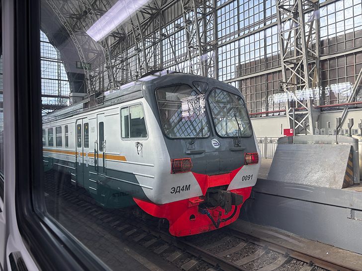 Чёрная «Иволга» (фото Олег Д., осень, 2025)