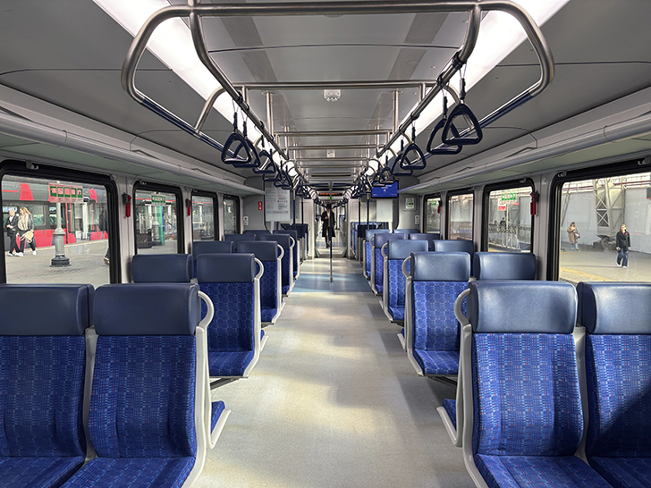 Чёрная «Иволга» (фото Олег Д., осень, 2025)