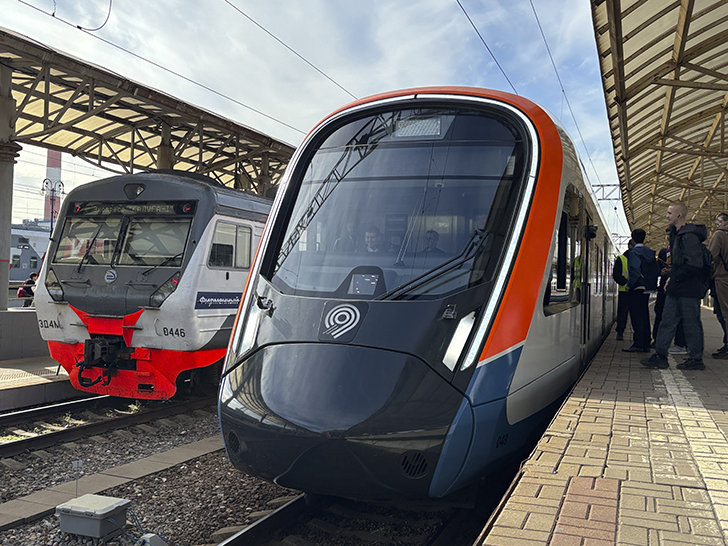 Чёрная «Иволга» (фото Олег Д., осень, 2025)