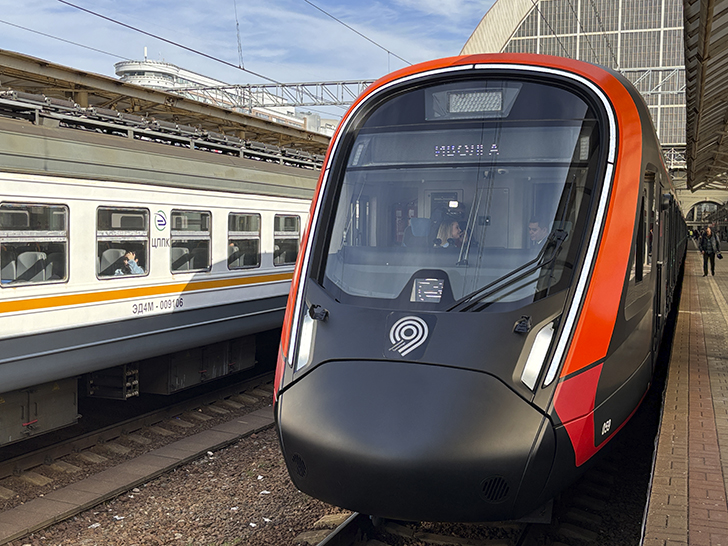 Чёрная «Иволга» (фото Олег Д., осень, 2025)