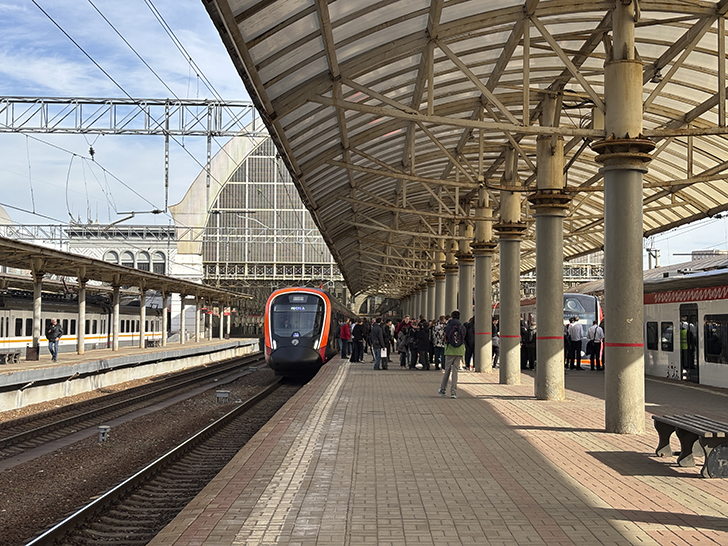 Чёрная «Иволга» (фото Олег Д., осень, 2025)