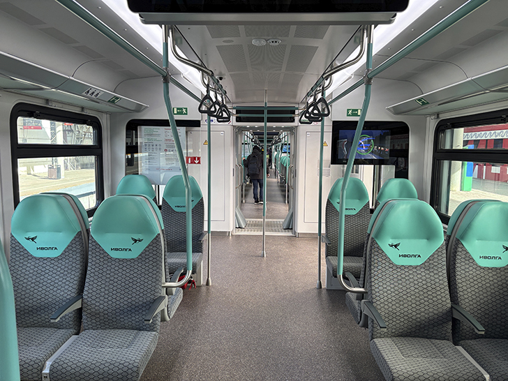 Чёрная «Иволга» (фото Олег Д., осень, 2025)