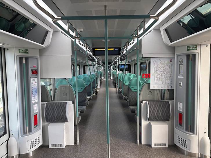 Чёрная «Иволга» (фото Олег Д., осень, 2025)