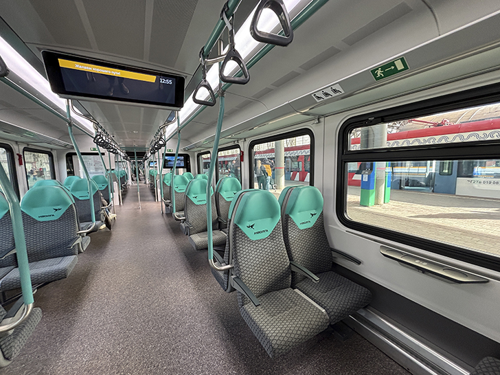 Чёрная «Иволга» (фото Олег Д., осень, 2025)