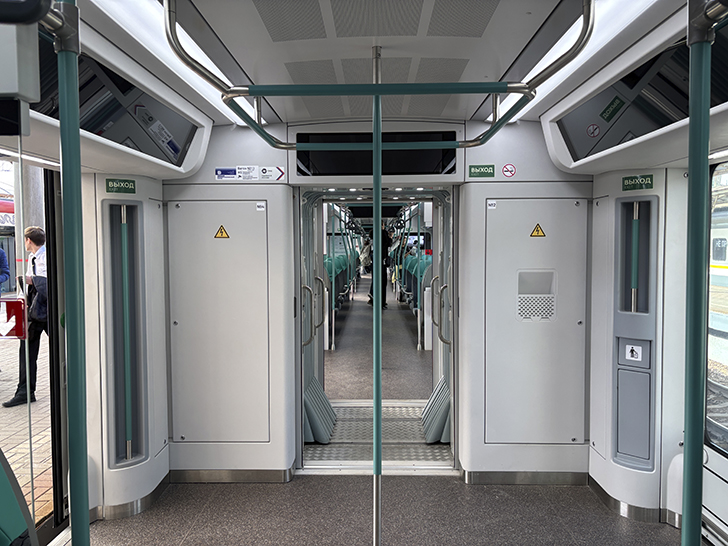 Чёрная «Иволга» (фото Олег Д., осень, 2025)