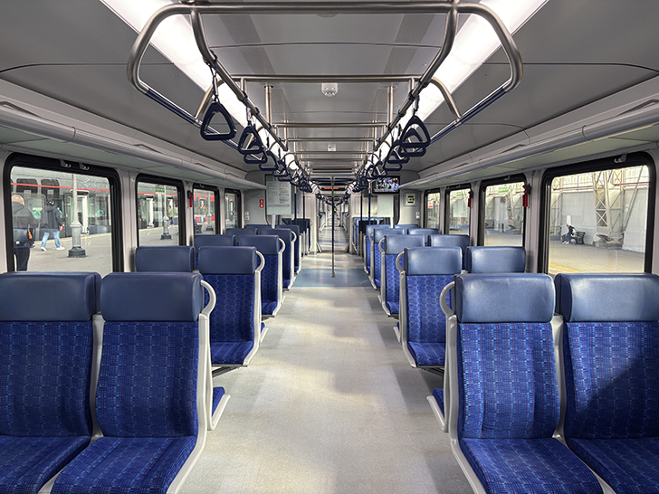 Чёрная «Иволга» (фото Олег Д., осень, 2025)