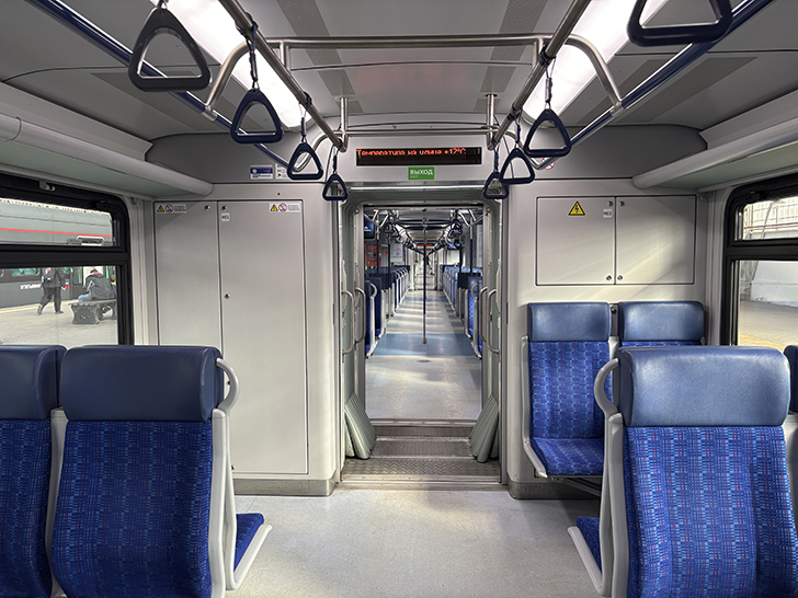 Чёрная «Иволга» (фото Олег Д., осень, 2025)