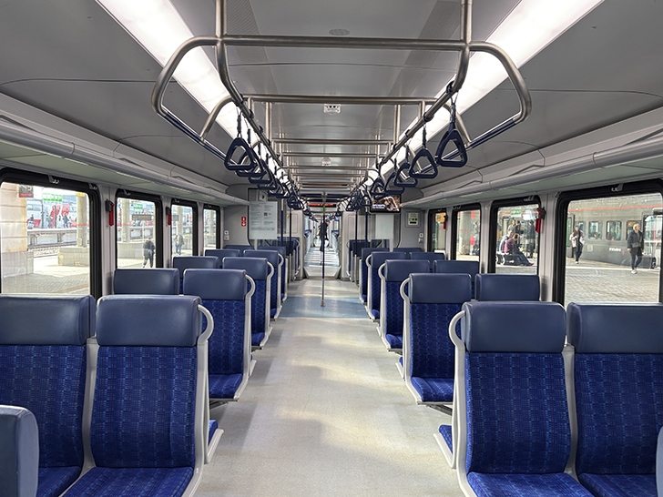 Чёрная «Иволга» (фото Олег Д., осень, 2025)