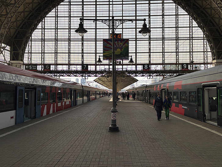 Чёрная «Иволга» (фото Олег Д., осень, 2025)