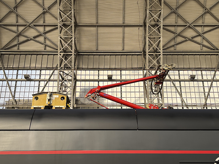 Чёрная «Иволга» (фото Олег Д., осень, 2025)