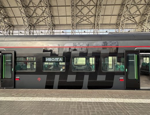 Чёрная «Иволга» (фото Олег Д., осень, 2025)