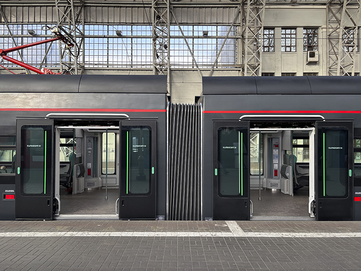 Чёрная «Иволга» (фото Олег Д., осень, 2025)