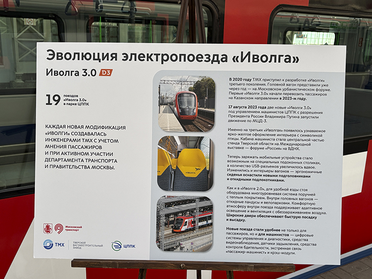 Чёрная «Иволга» (фото Олег Д., осень, 2025)