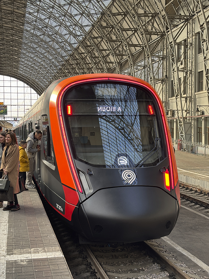 Чёрная «Иволга» (фото Олег Д., осень, 2025)