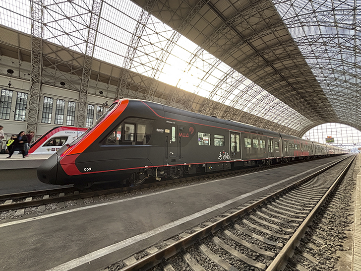 Чёрная «Иволга» (фото Олег Д., осень, 2025)