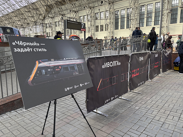 Чёрная «Иволга» (фото Олег Д., осень, 2025)