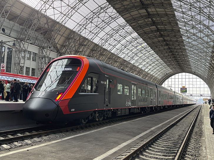 Чёрная «Иволга» (фото Олег Д., осень, 2025)