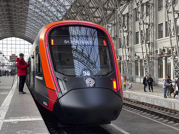 Чёрная «Иволга» (фото Олег Д., осень, 2025)