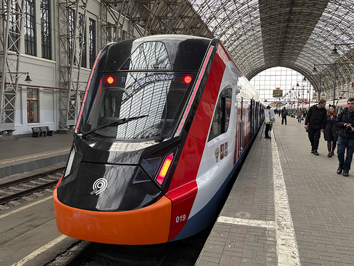 Чёрная «Иволга» (фото Олег Д., осень, 2025)