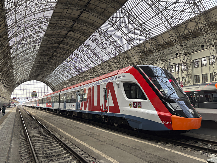 Чёрная «Иволга» (фото Олег Д., осень, 2025)