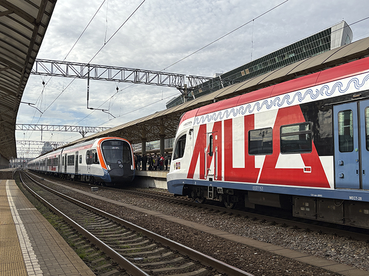 Чёрная «Иволга» (фото Олег Д., осень, 2025)