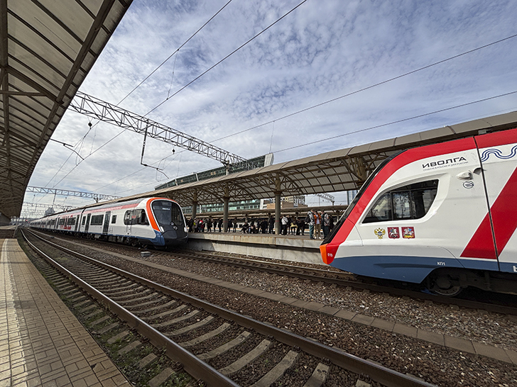 Чёрная «Иволга» (фото Олег Д., осень, 2025)