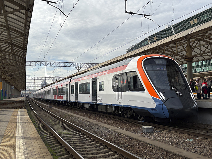 Чёрная «Иволга» (фото Олег Д., осень, 2025)