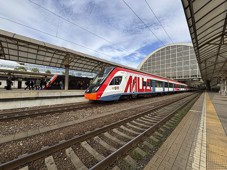 Чёрная «Иволга» (фото Олег Д., осень, 2025)