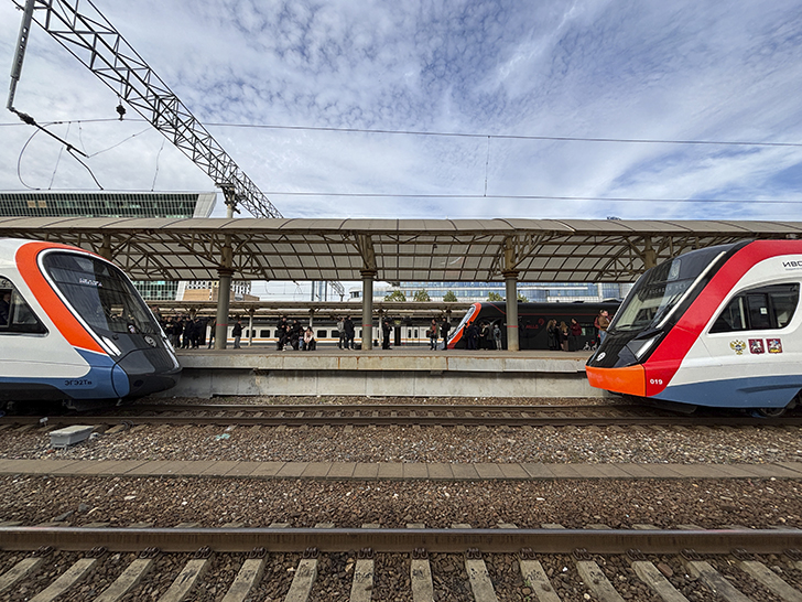 Чёрная «Иволга» (фото Олег Д., осень, 2025)