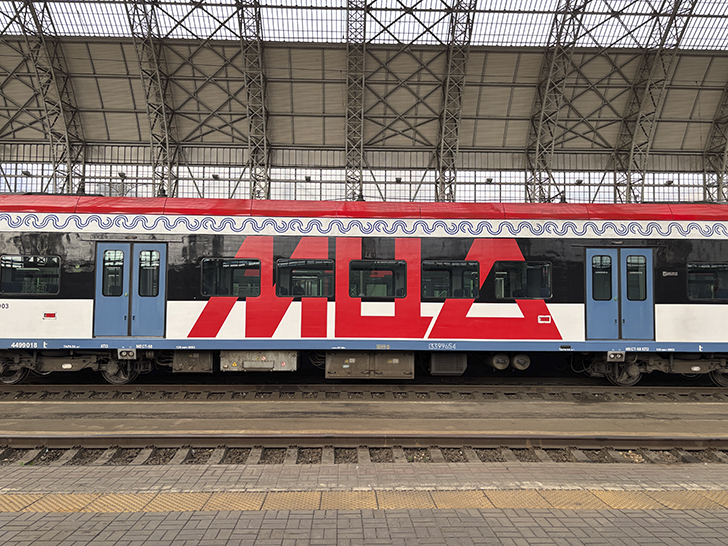 Чёрная «Иволга» (фото Олег Д., осень, 2025)