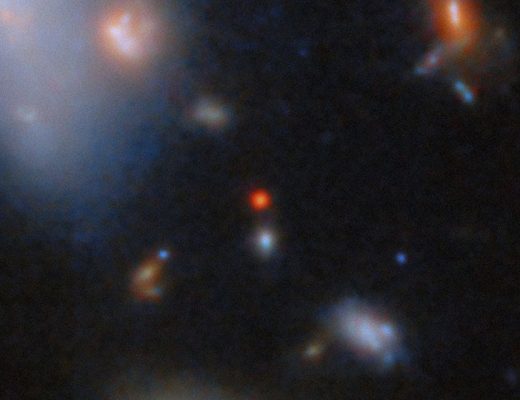 Галактика CANUCS-LRD-z8.6 видна яркой красной точкой в центре снимка. Credit: ESA, NASA, CSA