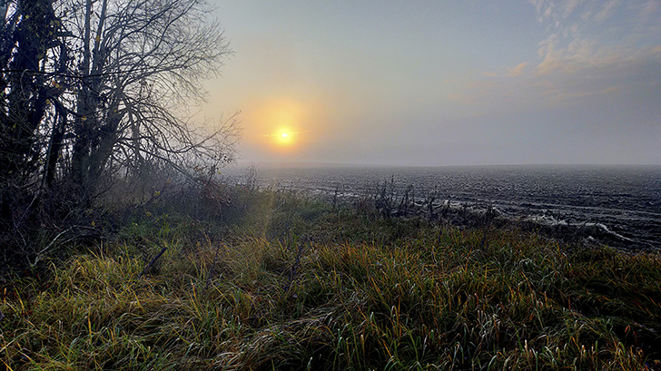 Фото В.Кузьмин (осень, 2025)