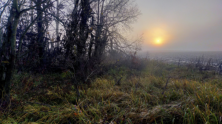 Фото В.Кузьмин (осень, 2025)
