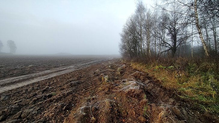 Фото В.Кузьмин (осень, 2025)