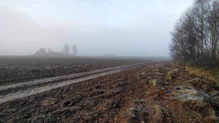Фото В.Кузьмин (осень, 2025)