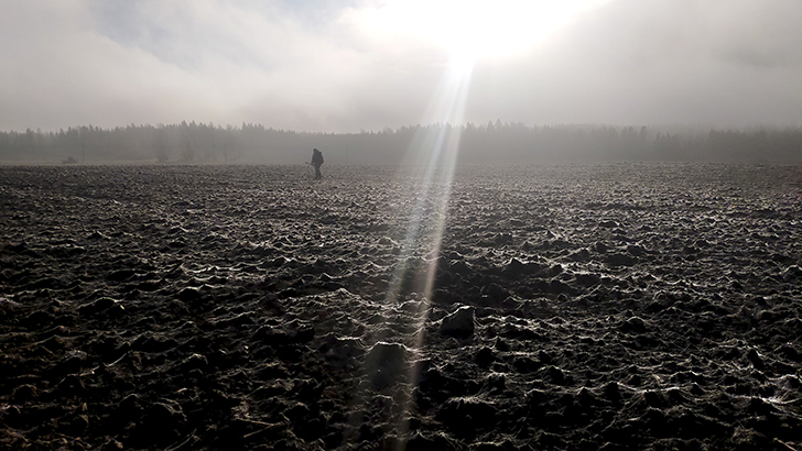 Фото В.Кузьмин (осень, 2025)
