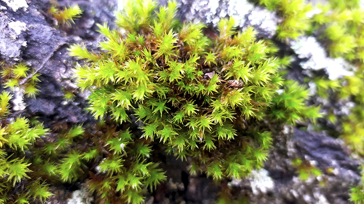 Фото В.Кузьмин (осень, 2025)