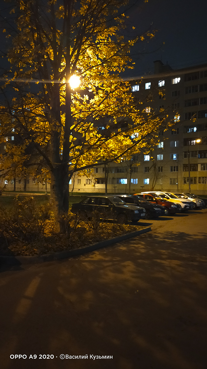 Фото В.Кузьмин (осень, 2025)