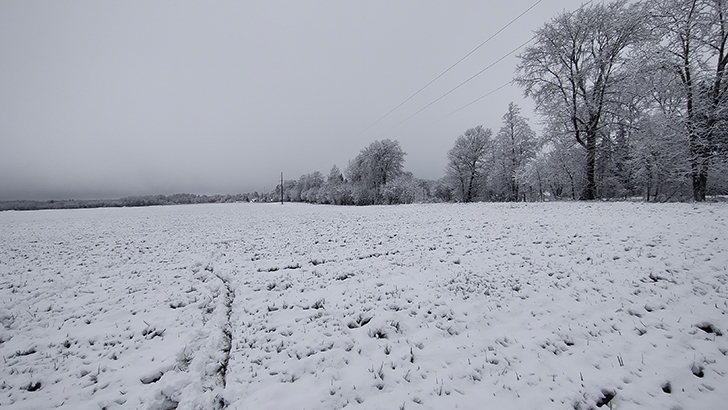 Фото В.Кузьмин (осень, 2025)