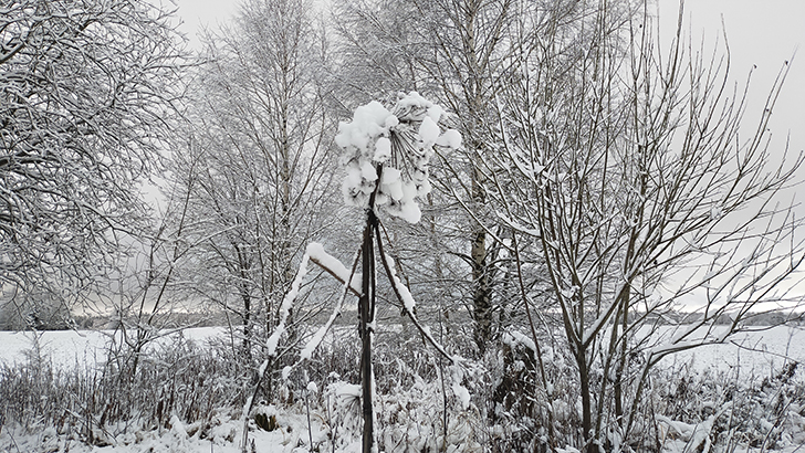Фото В.Кузьмин (осень, 2025)