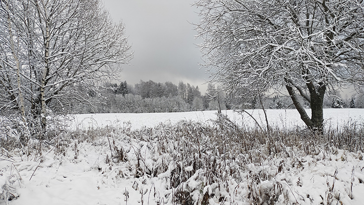 Фото В.Кузьмин (осень, 2025)