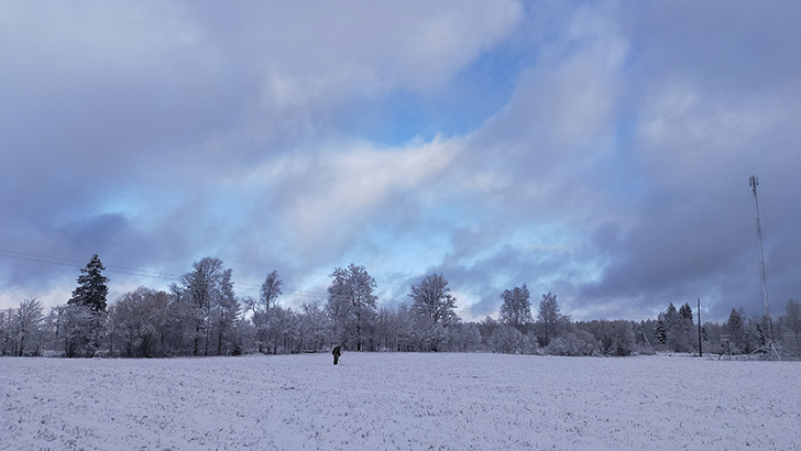 Фото В.Кузьмин (осень, 2025)