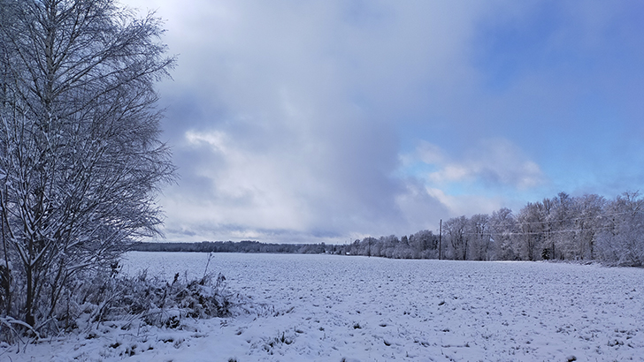 Фото В.Кузьмин (осень, 2025)