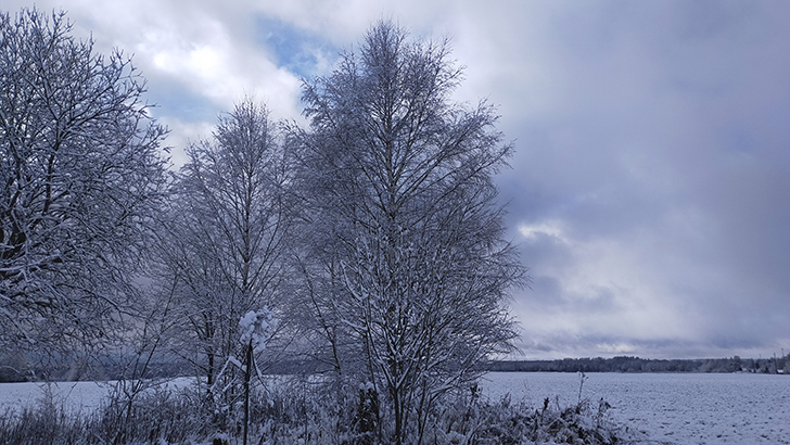 Фото В.Кузьмин (осень, 2025)