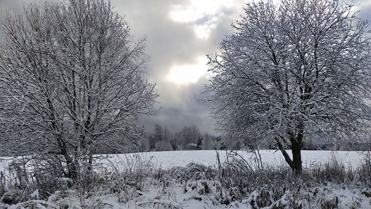 Фото В.Кузьмин (осень, 2025)