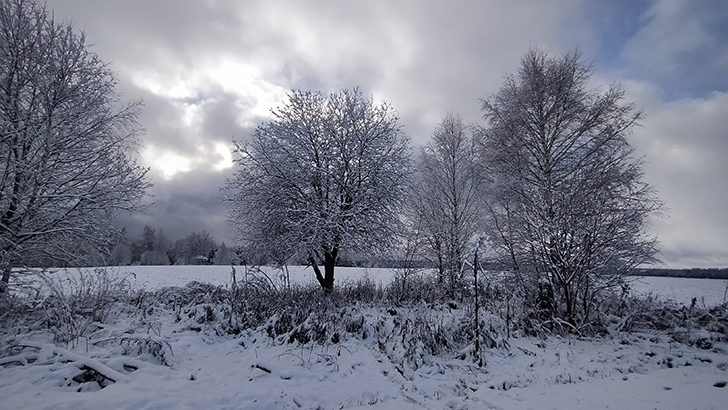 Фото В.Кузьмин (осень, 2025)