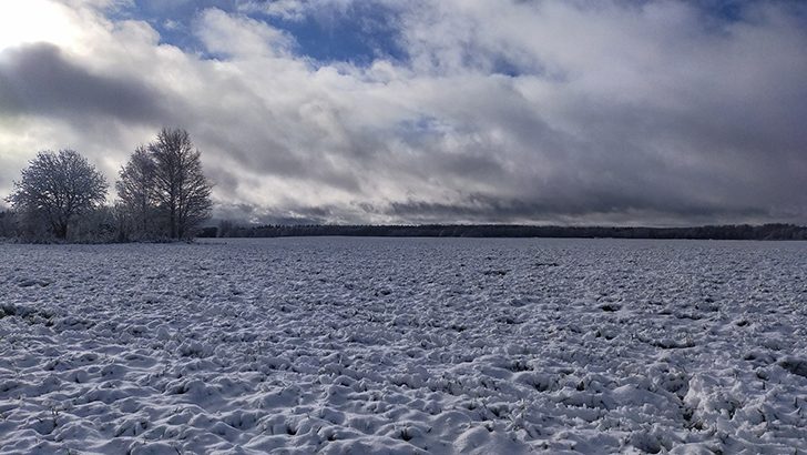 Фото В.Кузьмин (осень, 2025)