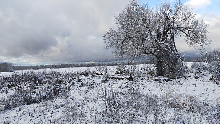 Фото В.Кузьмин (осень, 2025)